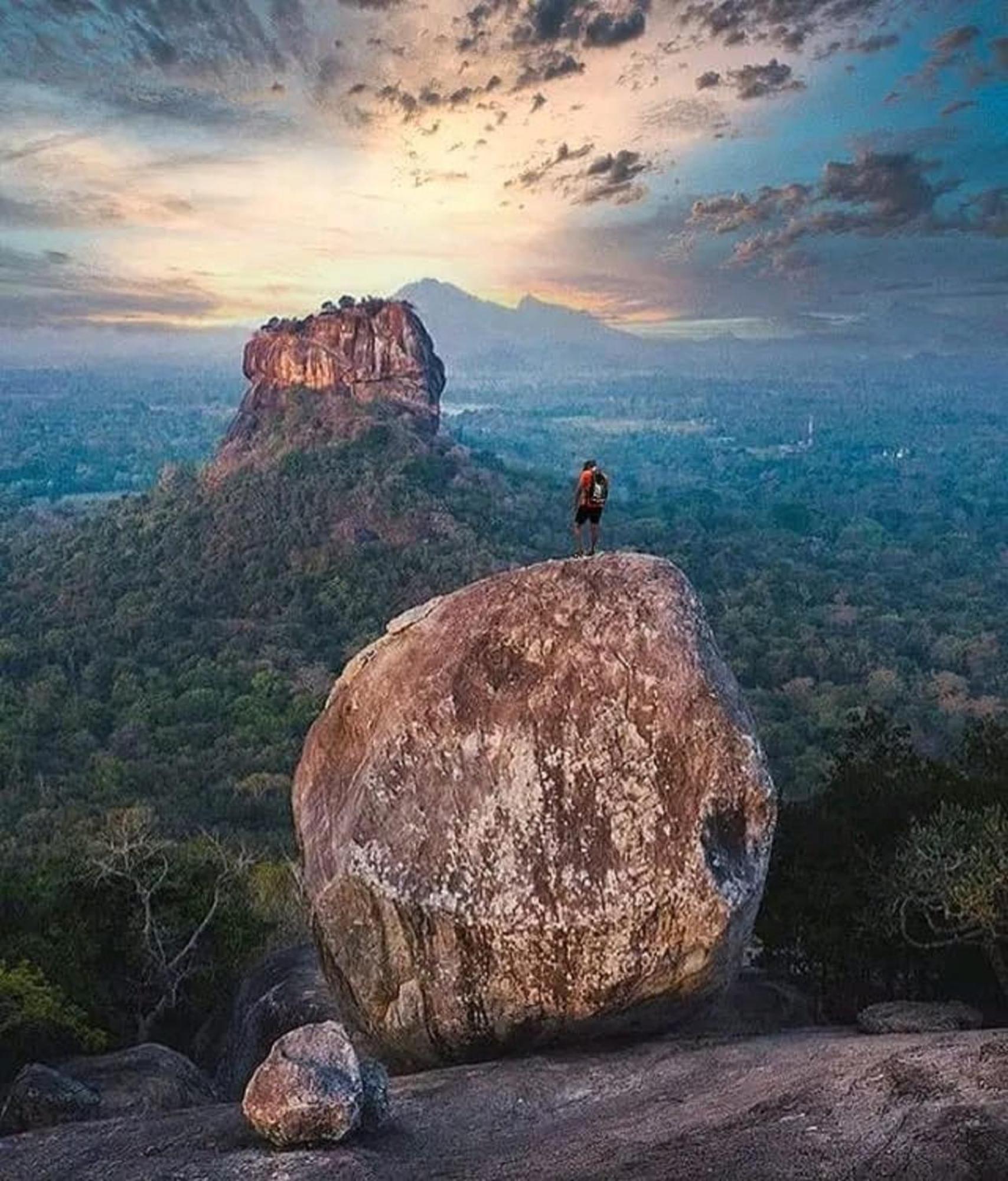 Sigiri Birds Hostel Sigiriya Eksteriør bilde