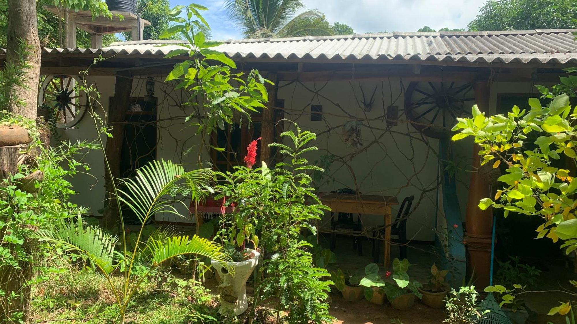 Sigiri Birds Hostel Sigiriya Eksteriør bilde