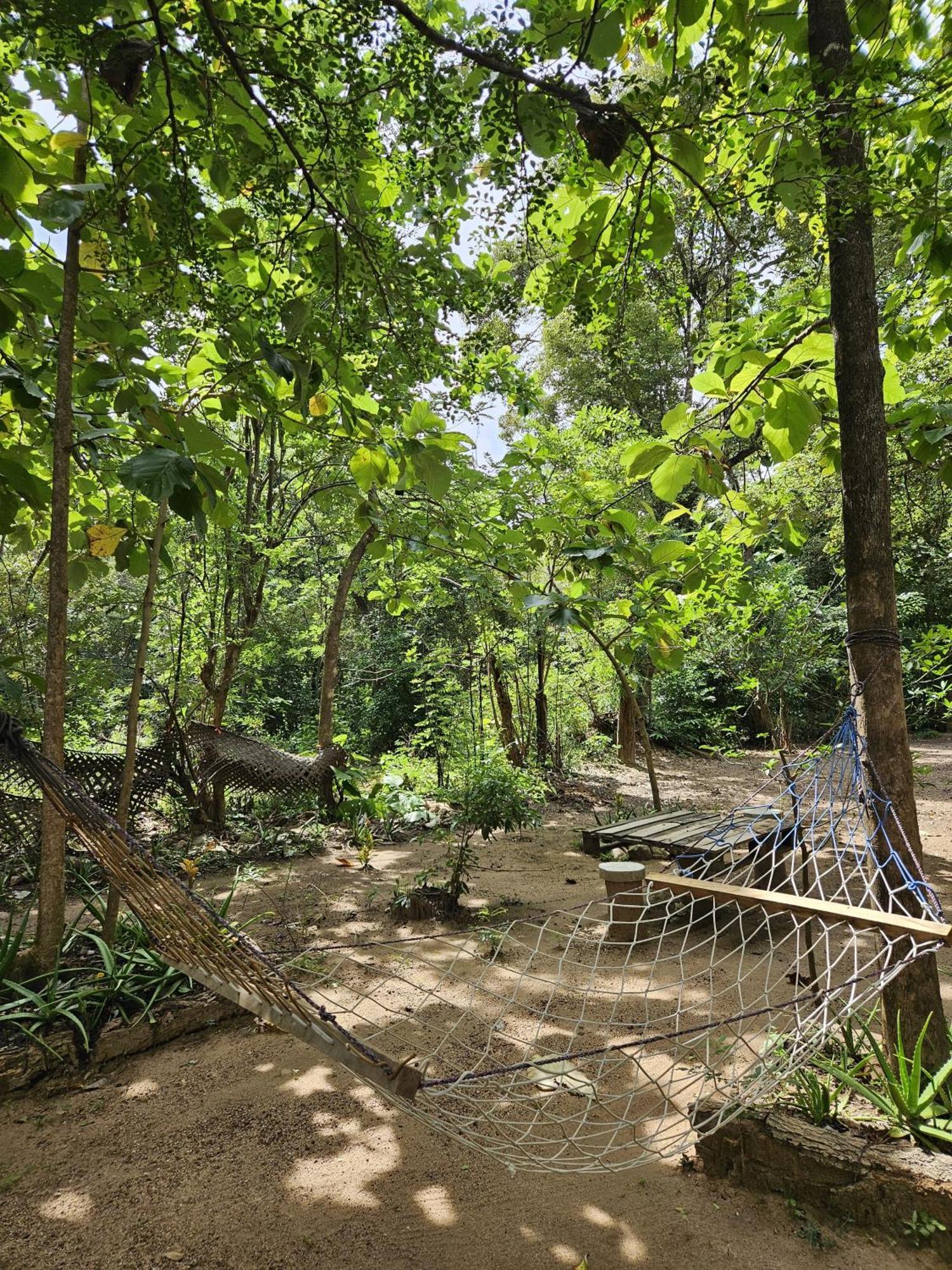 Sigiri Birds Hostel Sigiriya Eksteriør bilde